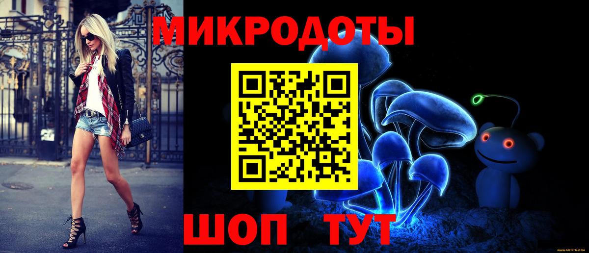 Псилоцибиновые грибы Psilocybe Елец