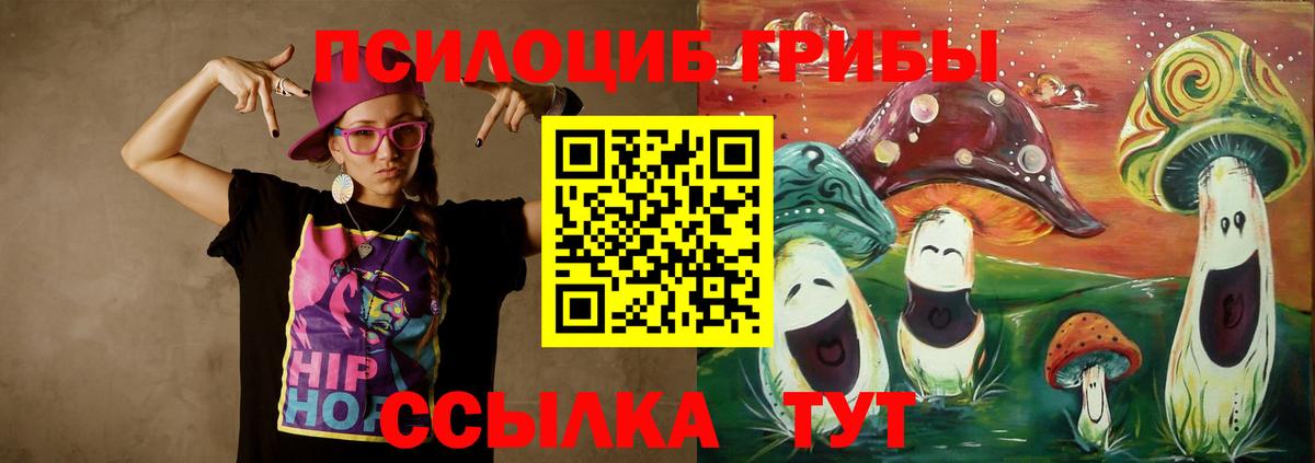 Псилоцибиновые грибы Magic Shrooms  Псилоцибиновые грибы Cubensis  магазин  наркотиков  Вход с VPN  Елец 
